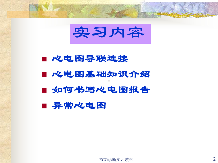 ECG诊断实习教学课件.ppt_第2页