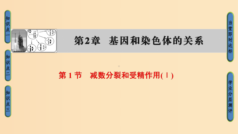 201x版高中生物第二章基因和染色体的关系第1节减数分裂和受精作用Ⅰ新人教版必修2-课件.ppt_第1页