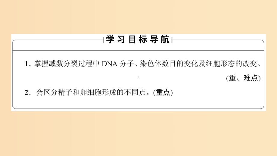 201x版高中生物第二章基因和染色体的关系第1节减数分裂和受精作用Ⅰ新人教版必修2-课件.ppt_第2页