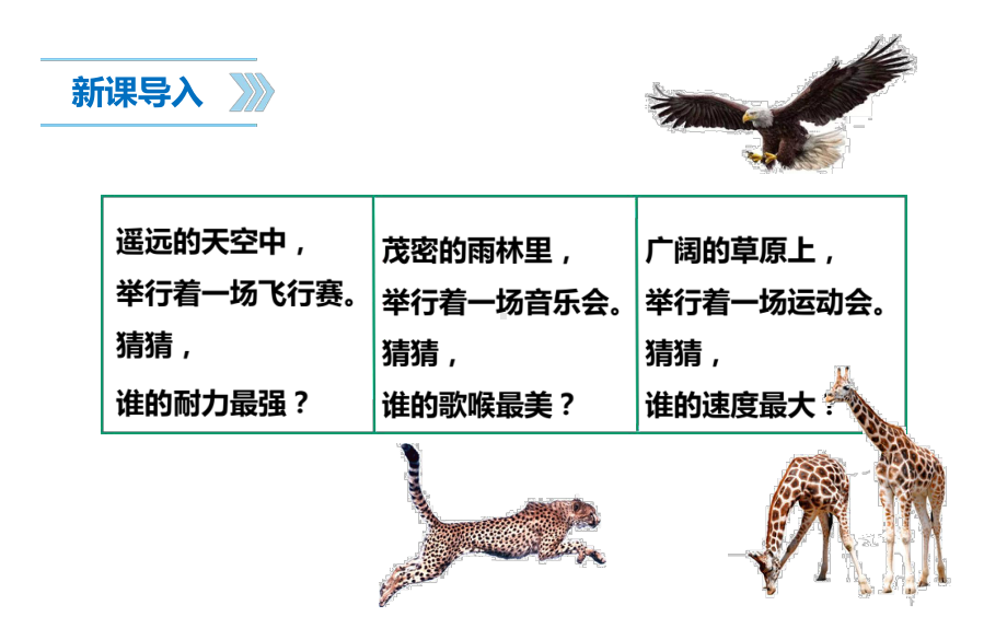 苏教版四年级上册科学第一单元《动物大家族》课件.ppt_第2页