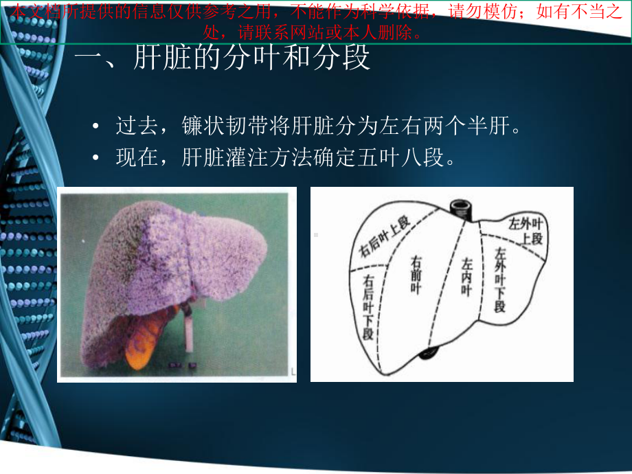 CT肝脏分段和读片基础培训课件.ppt_第2页