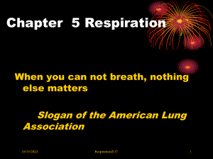 Respiration医疗培训课件.ppt