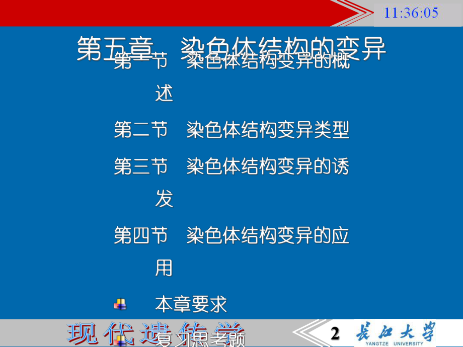 -染色体结构的变异课件.ppt_第2页