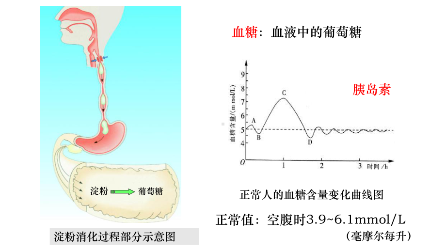 苏教版生物七年级下册第十二章第一节-《人体的激素调节》课件(共15张).pptx_第2页