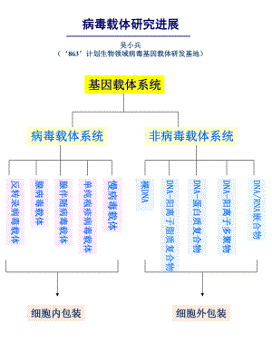 病毒载体研究进展-课件.ppt