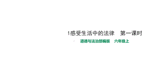 部编版《道德与法治》六年级上册感受生活中的法律第一课时课件.pptx