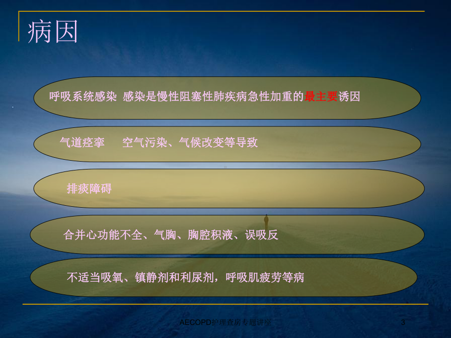 AECOPD护理查房专题讲座培训课件.ppt_第3页