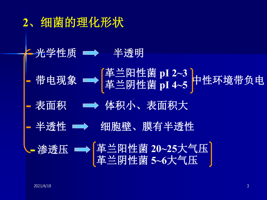 《医学微生物学》第2章-细菌的生理课件.ppt_第3页