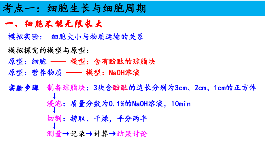 高中生物人教版《减数分裂》课件1.pptx_第2页