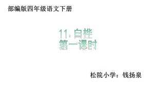 部编版11白桦-课件(四年级语文下册).pptx