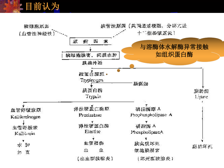 SAP临床处理中值得注意问题课件.ppt_第3页