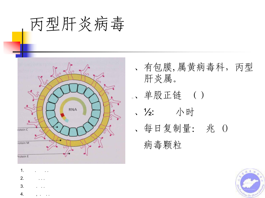 丙型肝炎实验诊断研究进展课件.ppt_第2页