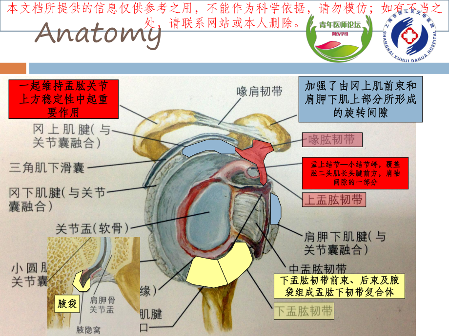 Bankart损伤的诊疗进展培训课件.ppt_第1页