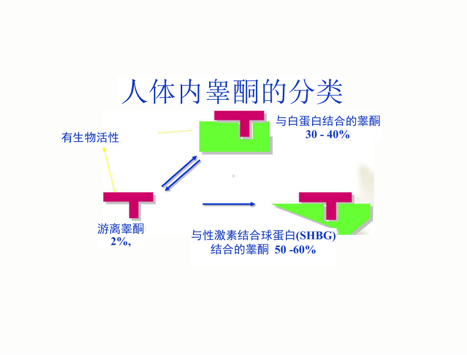 中老年男性部分雄激素缺乏综合征课件.pptx_第3页