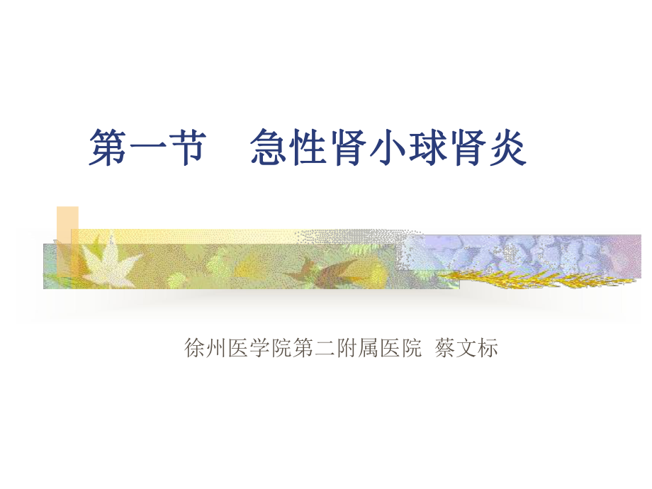 1急性肾小球肾炎课件.ppt_第1页