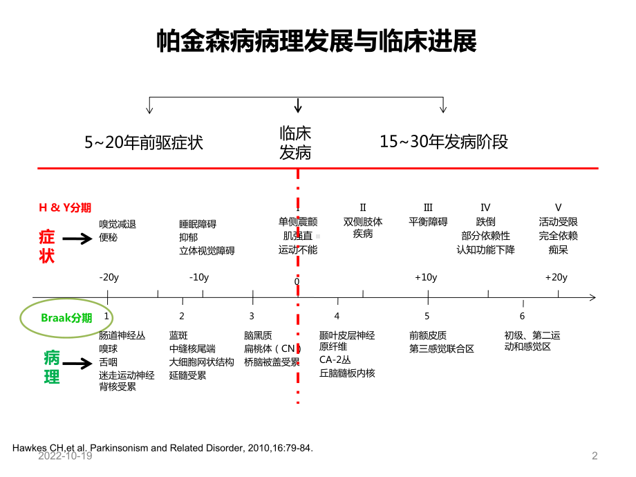 MDS帕金森病临床诊断标准参考课件.ppt_第2页