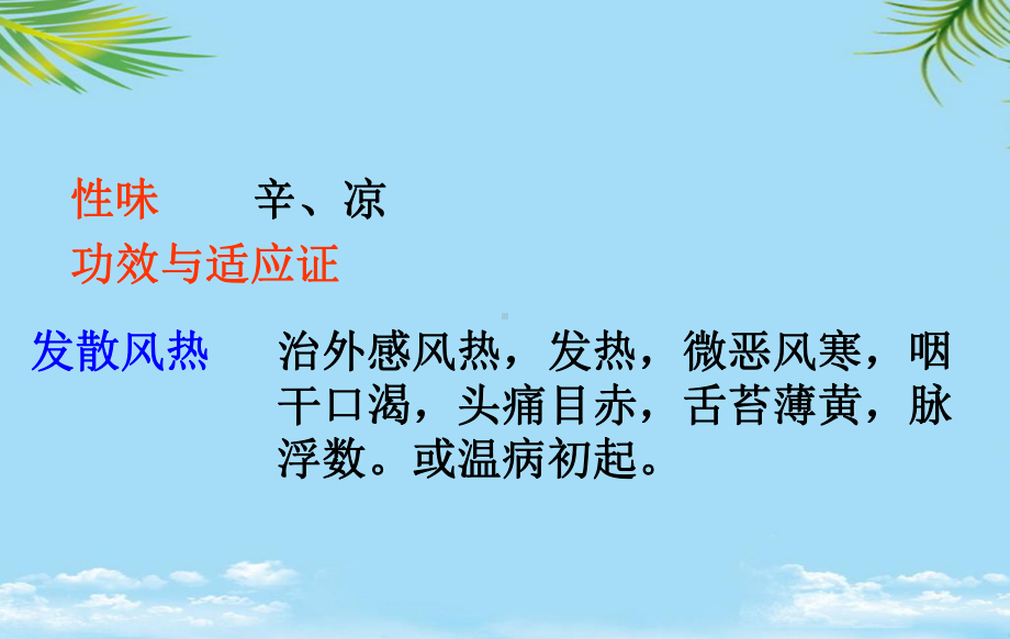 中医药材发散风热药课件.ppt_第2页