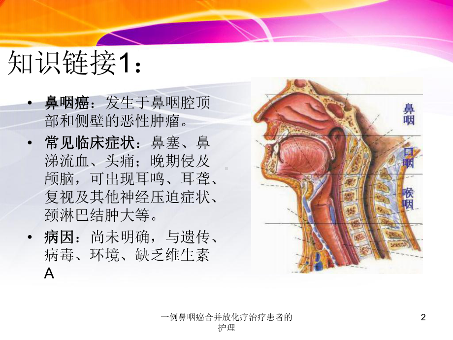 一例鼻咽癌合并放化疗治疗患者的护理课件.ppt_第2页