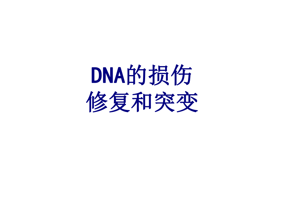 DNA的损伤修复和突变课件.ppt_第1页