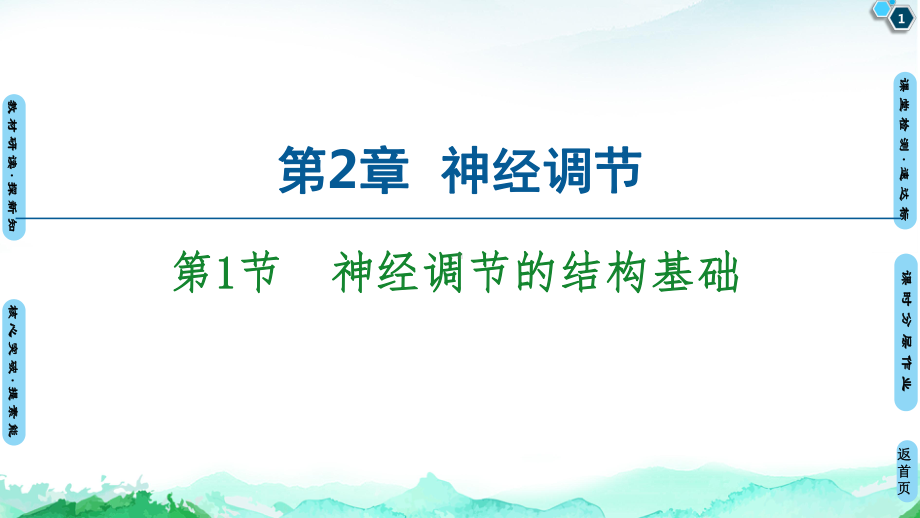 （人教版新教材）《神经调节的结构基础》课件1.ppt_第1页