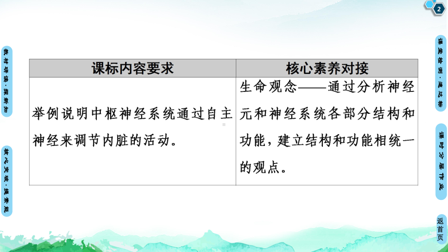 （人教版新教材）《神经调节的结构基础》课件1.ppt_第2页