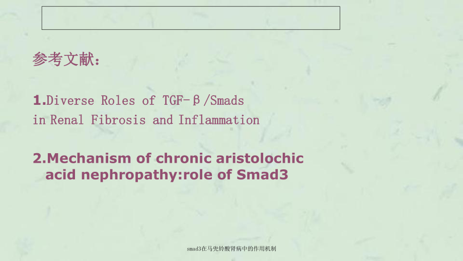 smad3在马兜铃酸肾病中的作用机制课件.ppt_第2页