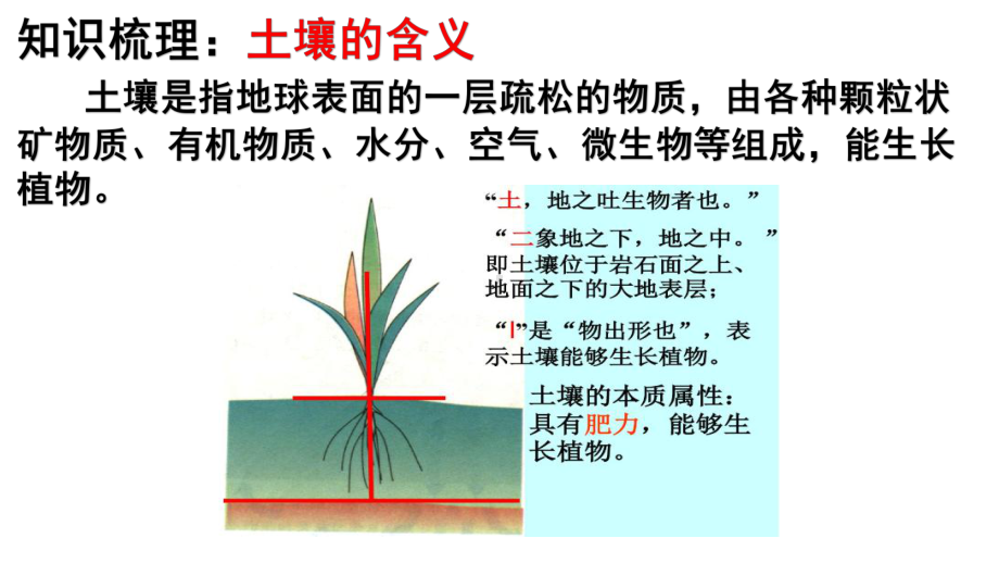 高考地理考前微专题探究55土壤(共38张)课件.pptx_第2页