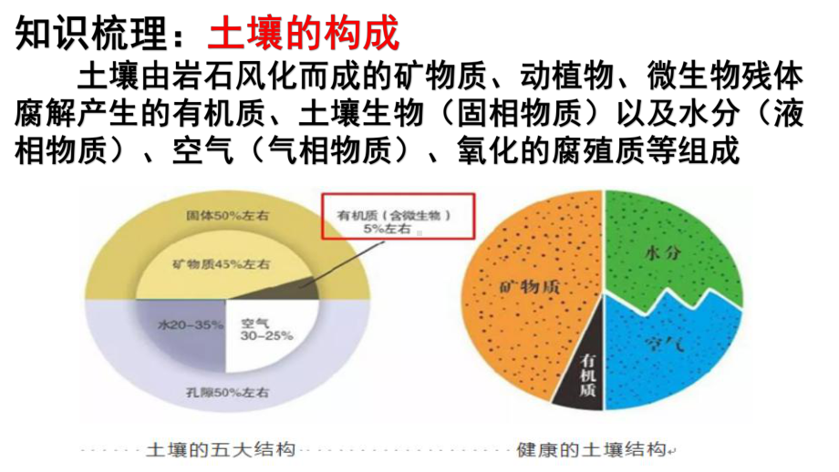 高考地理考前微专题探究55土壤(共38张)课件.pptx_第3页