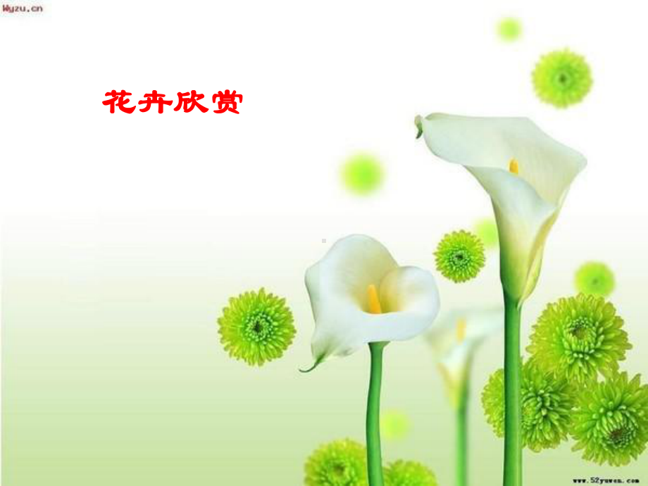 青岛版小学科学五年级下册12《植物的花》课件.ppt_第1页