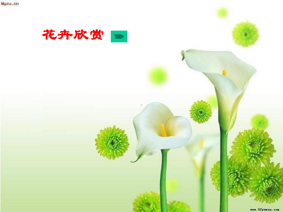 青岛版小学科学五年级下册12《植物的花》课件.ppt_第2页