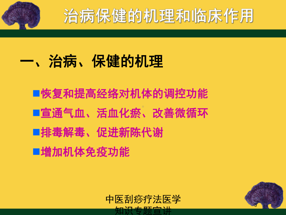 中医刮痧疗法医学知识专题宣讲培训课件.ppt_第3页