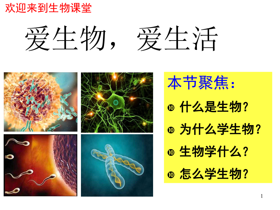 高中生物第一课-(共24张)课件.ppt_第1页