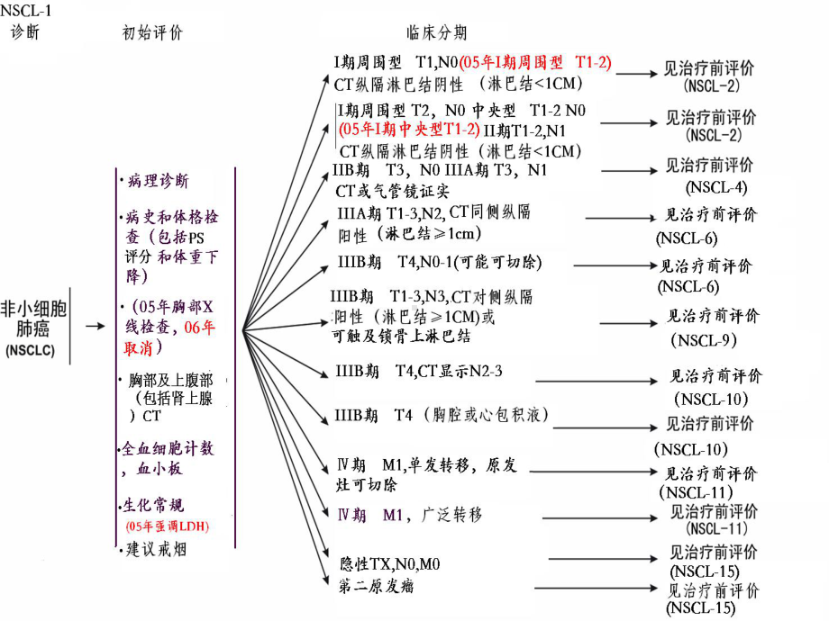 nccn非小细胞肺癌指南黄金升级版中课件.ppt_第3页