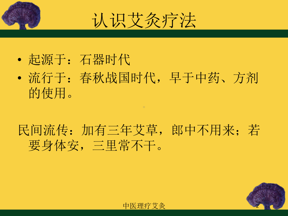 中医理疗艾灸培训课件.ppt_第2页