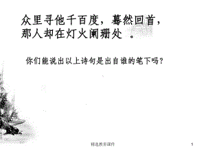 苏教版高中语文必修二第3专题《永遇乐·京口北固亭怀古》公开课课件3.ppt