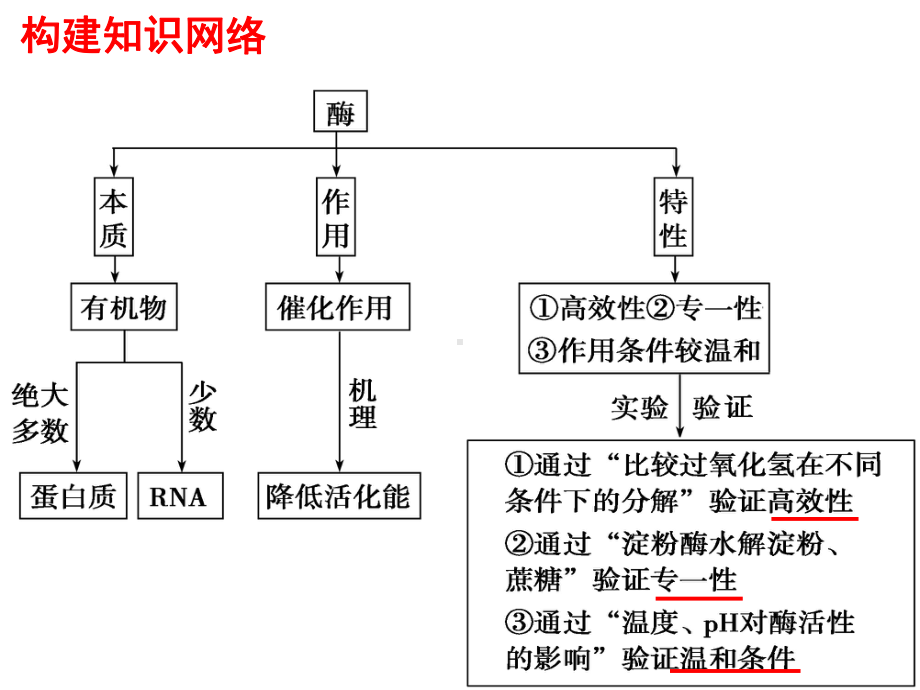 高考生物必修一轮复习—降低化学反应活化能的酶课件.ppt_第2页