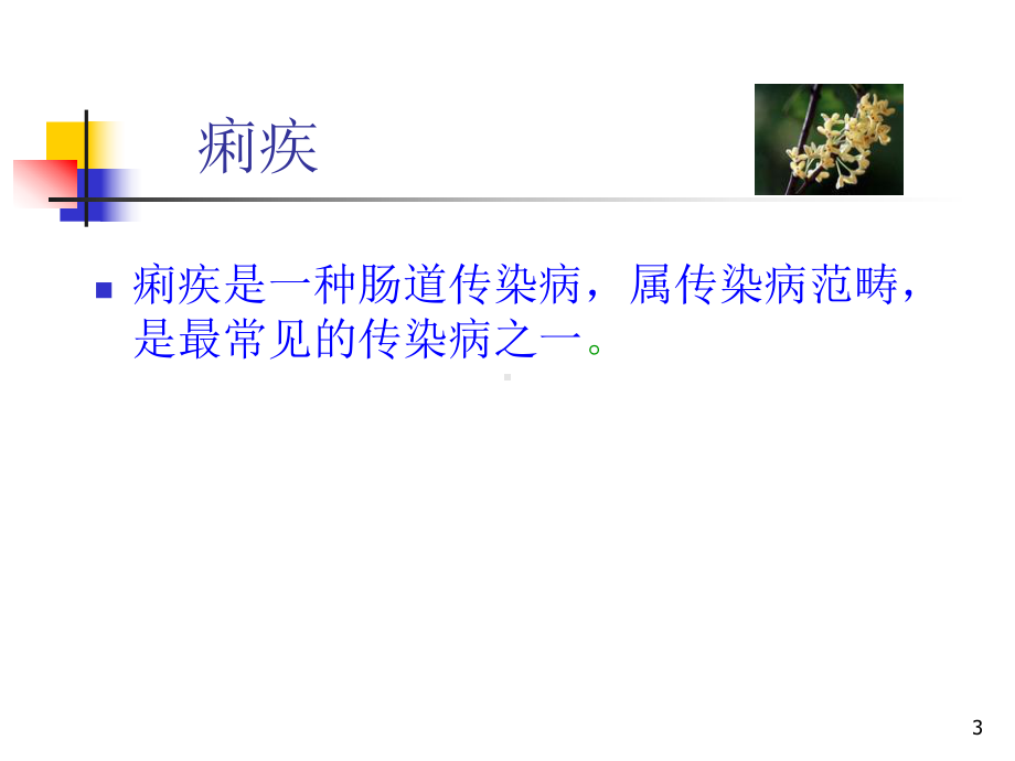 医学痢疾是一种肠道传染病课件.ppt_第3页