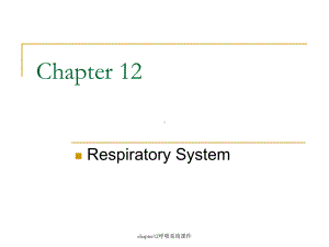 chapter12呼吸系统课件.ppt