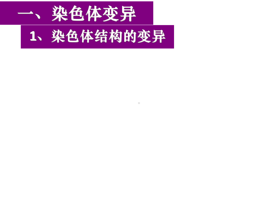 一轮复习染色体变异与育种解析课件.pptx_第3页