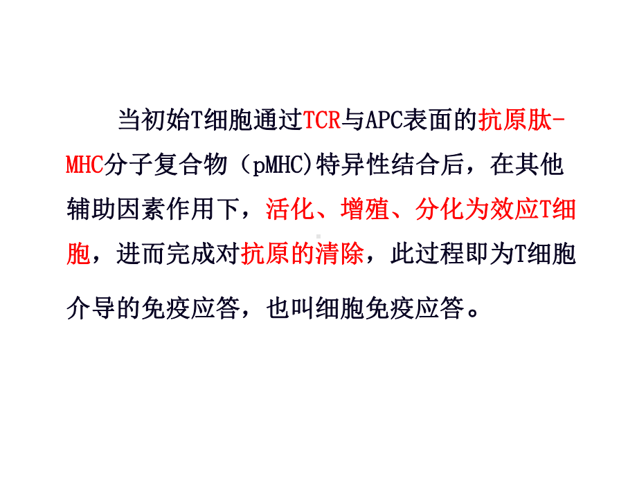 T细胞免疫应答课件.ppt_第3页