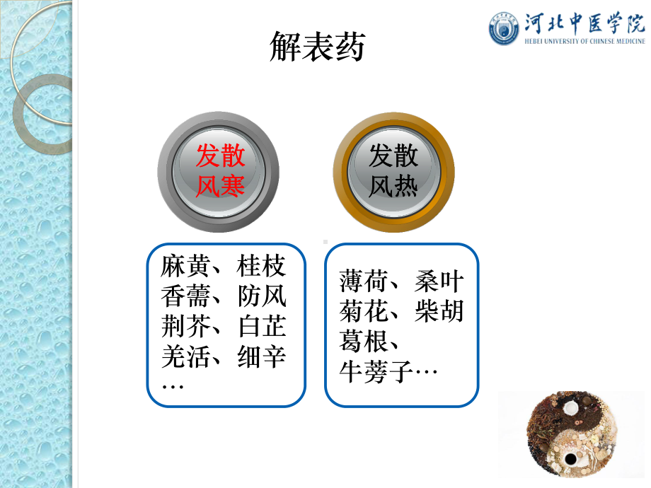 中医学概论1解表药12课件.pptx_第3页