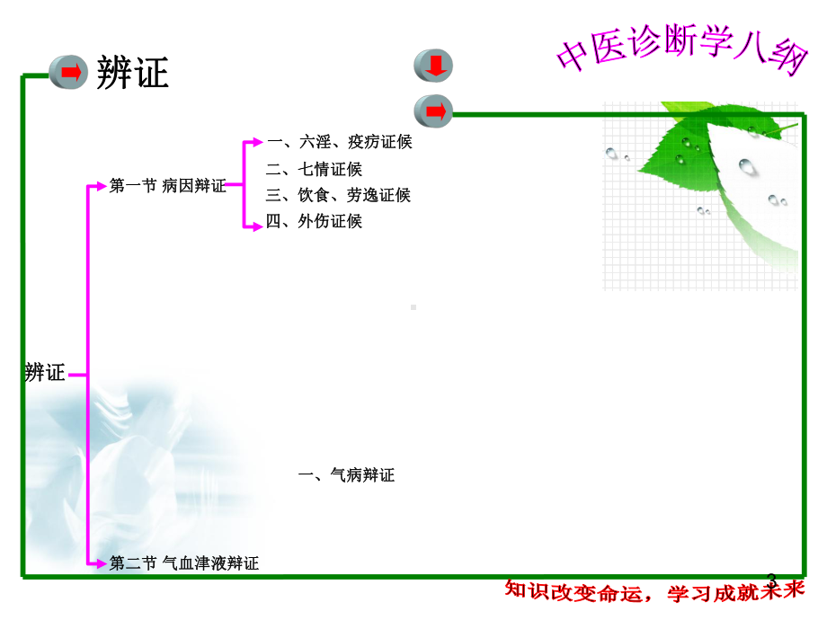 中医诊断学—辩证学习课件.ppt_第3页