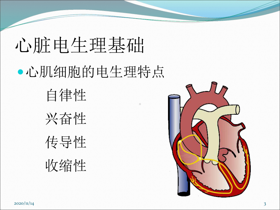 临时起搏器应用及护理课件.ppt_第3页