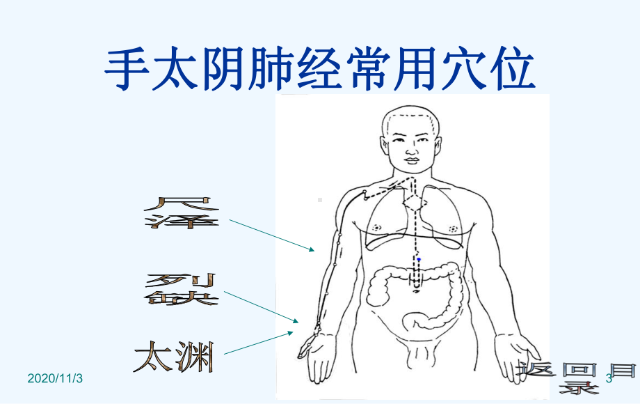 中医常用穴位报告课件.ppt_第3页