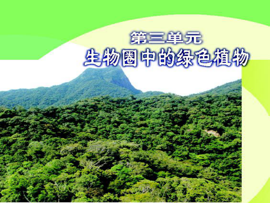 《藻类苔藓和蕨类植物》优秀版课件.ppt_第1页