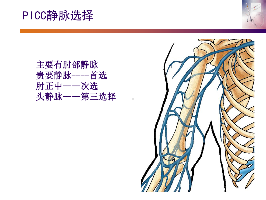 picc置管维护及并发症的处理课件.ppt_第3页