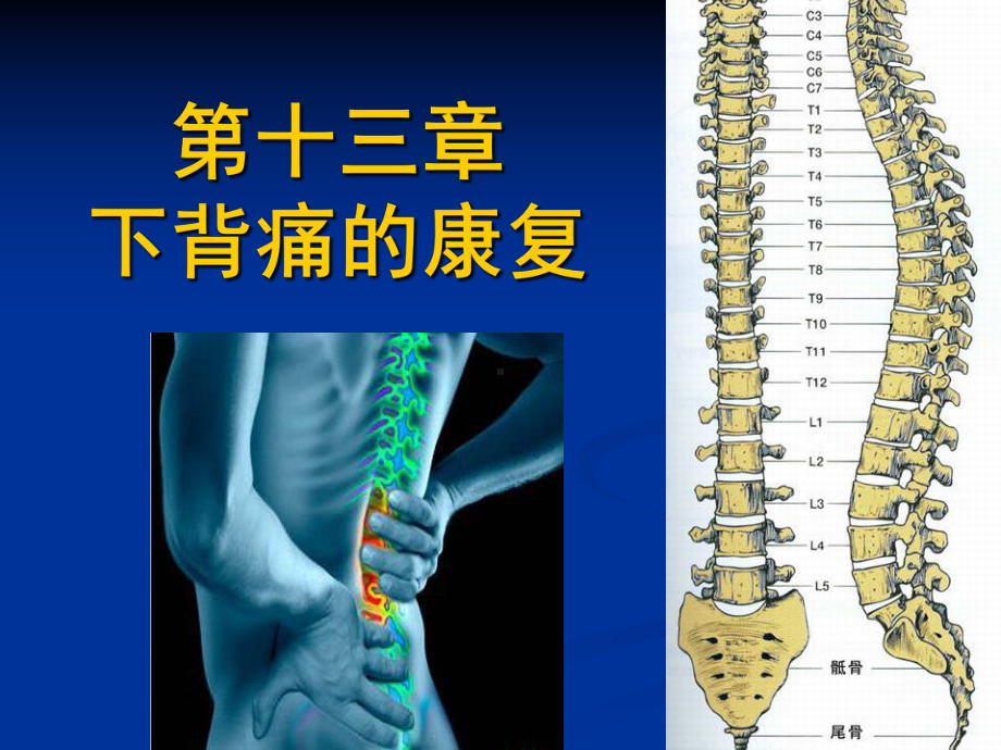 下背痛的康复课件.pptx_第1页