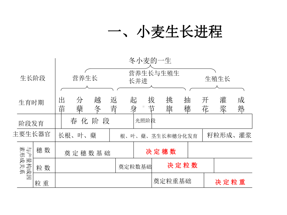 硅肥施用在小麦上的效果-共21张课件.ppt_第2页