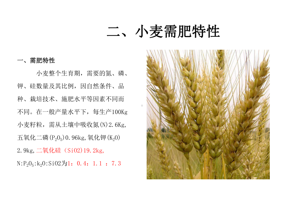 硅肥施用在小麦上的效果-共21张课件.ppt_第3页