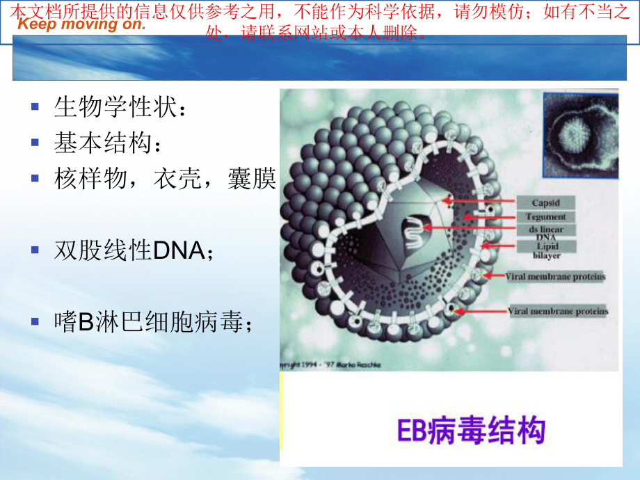 EB病毒感染和传染性单核细胞增多症培训课件.ppt_第3页